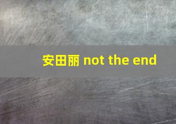 安田丽 not the end